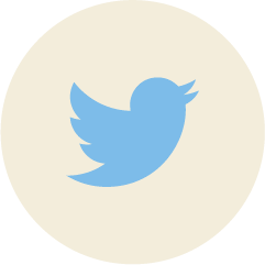 twitter icon